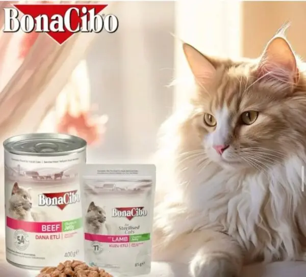 Bonaciba 400G