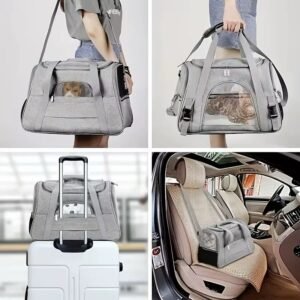 Bags Travel